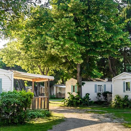 Camping Les Avignon - La Laune Villeneuve-lès-Avignon Eksteriør billede