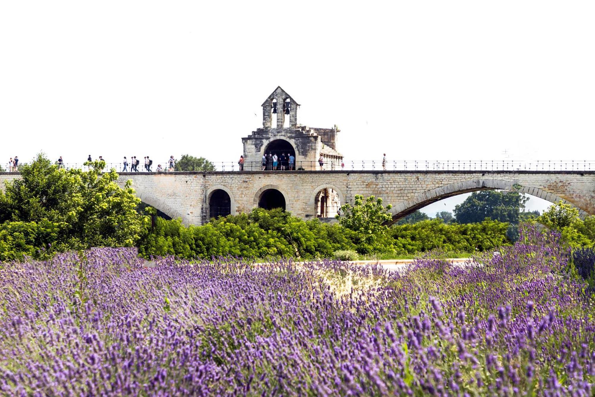 Camping Les Avignon - La Laune Villeneuve-lès-Avignon Eksteriør billede