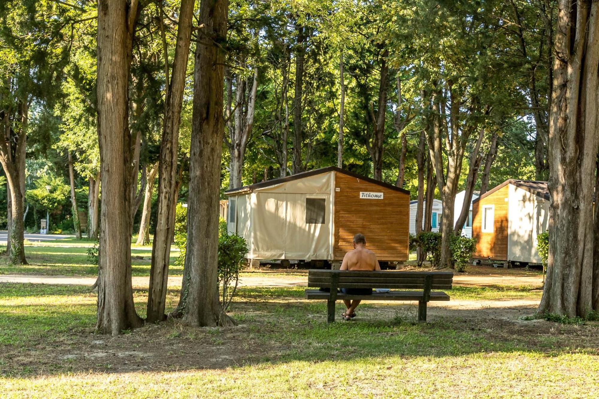 Camping Les Avignon - La Laune Villeneuve-lès-Avignon Eksteriør billede
